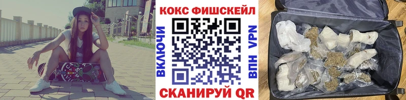 MEGA маркетплейс  Ефремов  COCAIN FishScale 