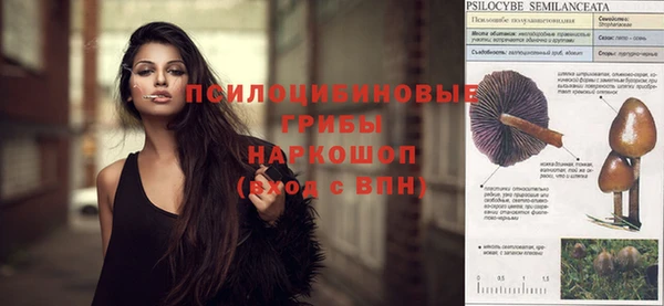 стаф Лиски
