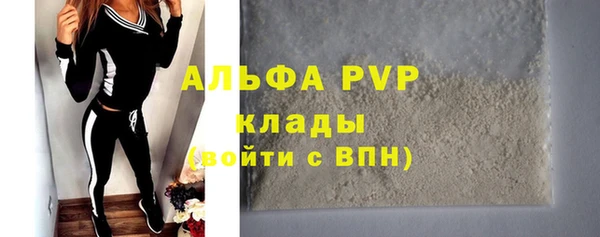 прущие грибы Липки