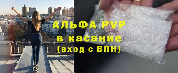 эйфоретик Богданович