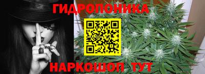 сатива Аргун