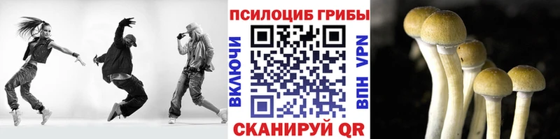 Псилоцибиновые грибы Psilocybine cubensis  где можно купить наркотик  Ефремов 