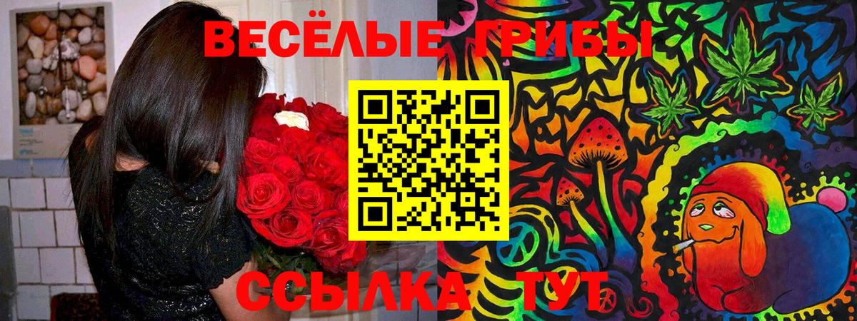 Галлюциногенные грибы мухоморы  продажа наркотиков  Ефремов 